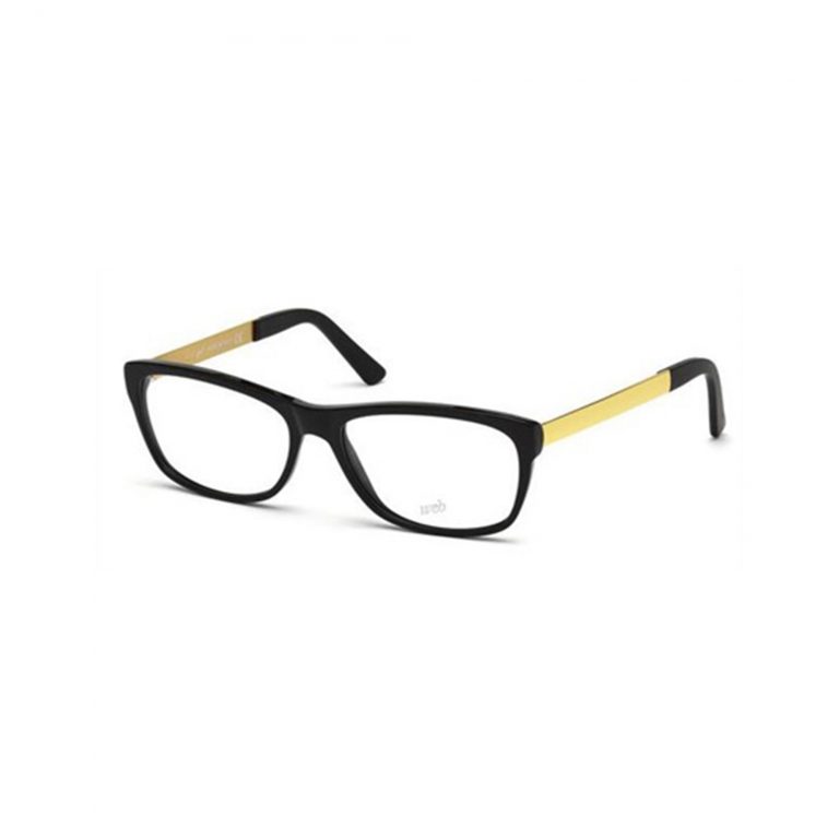 web-glasses-we-5144-001_1a015a4