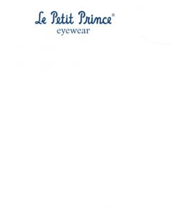 LE PETIT PRINCE