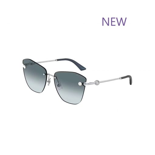 JIMMY CHOO 4004HB 3002 19