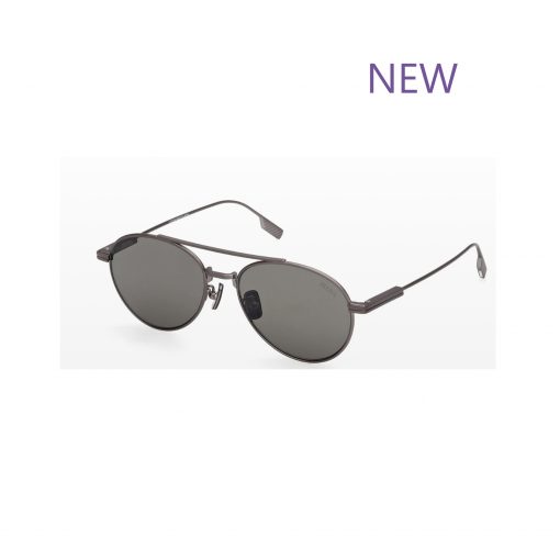 EZ288 09D POLARIZED